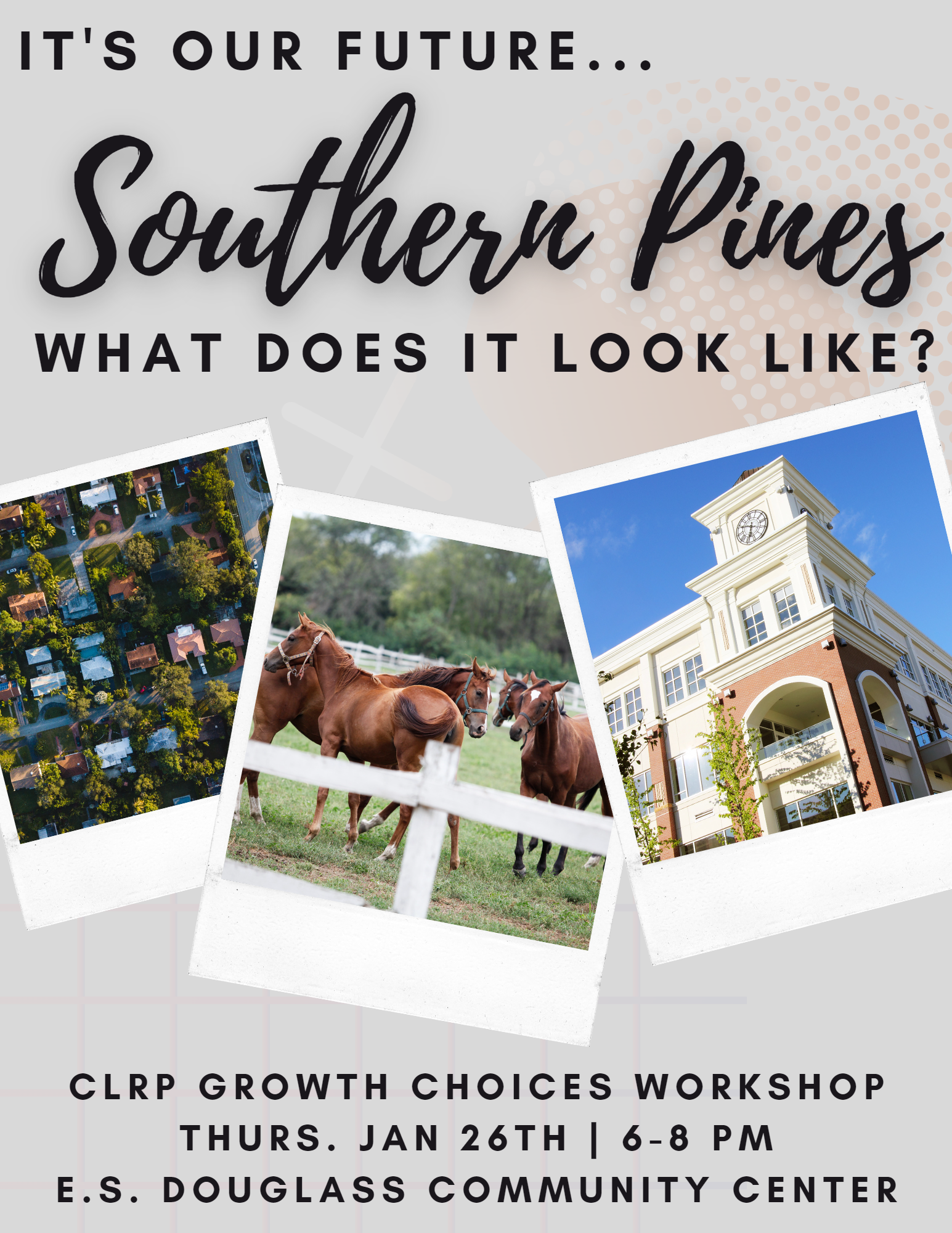Growth Choices Workshop website