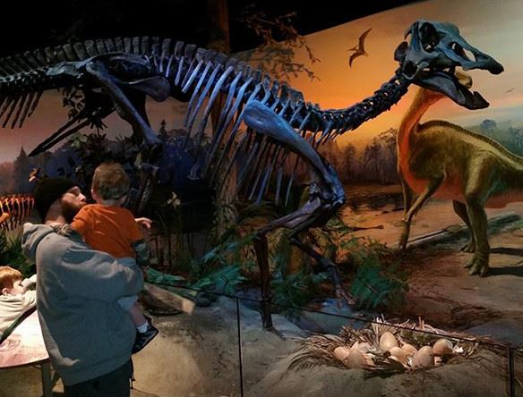Father holding his son while they look at a dinosaur skeloton