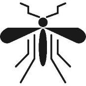 Image of a Mosquito