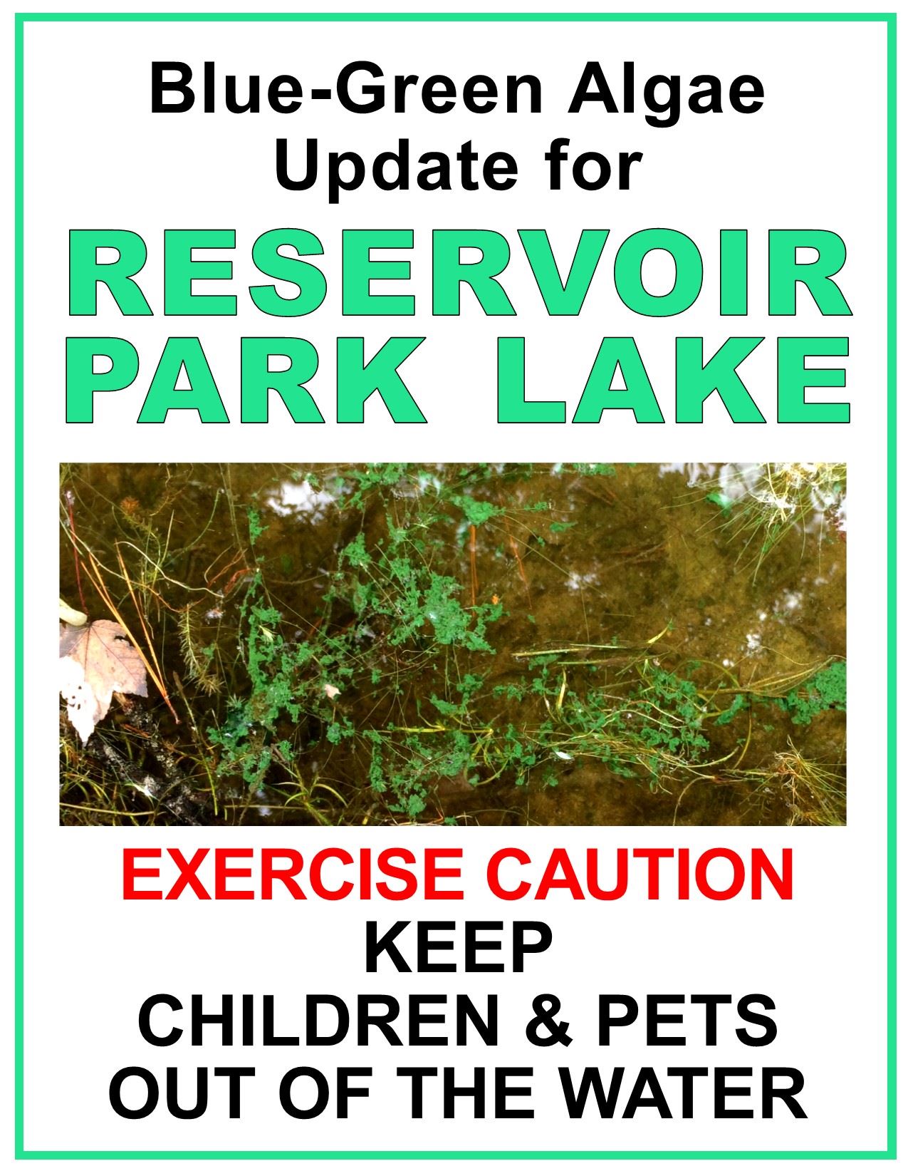 Cyanobacterial Algae in Lake News Flash