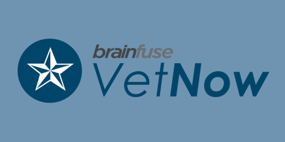VetNow