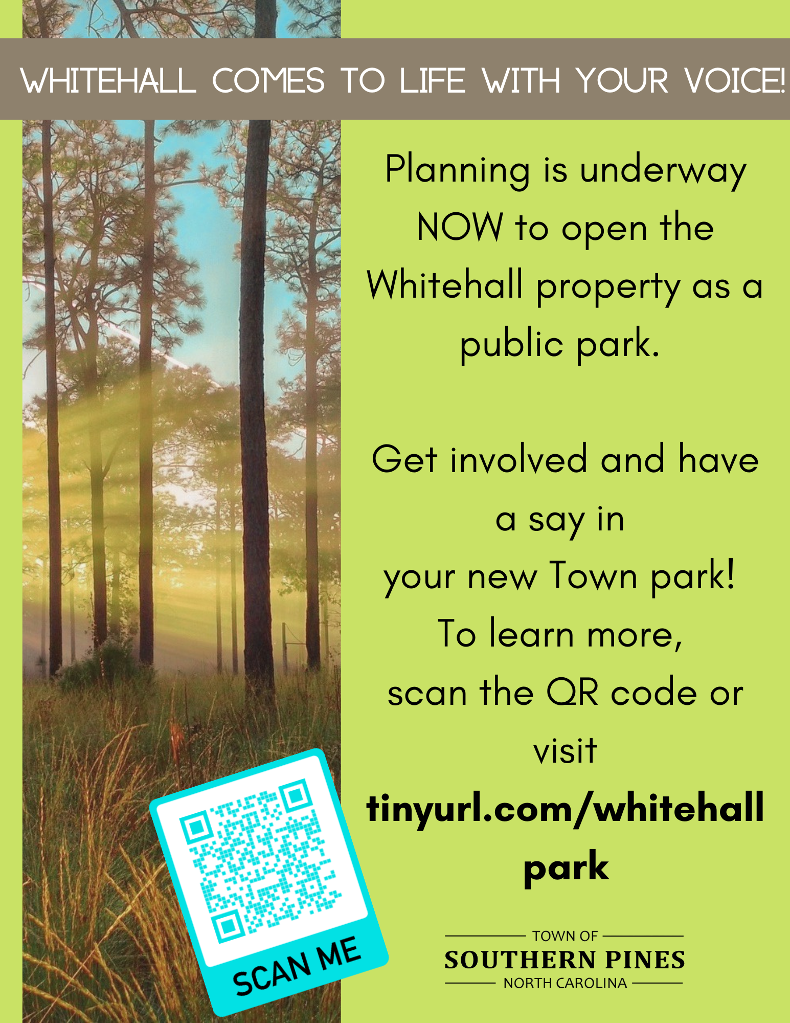 Whitehall Planning - New Town Park