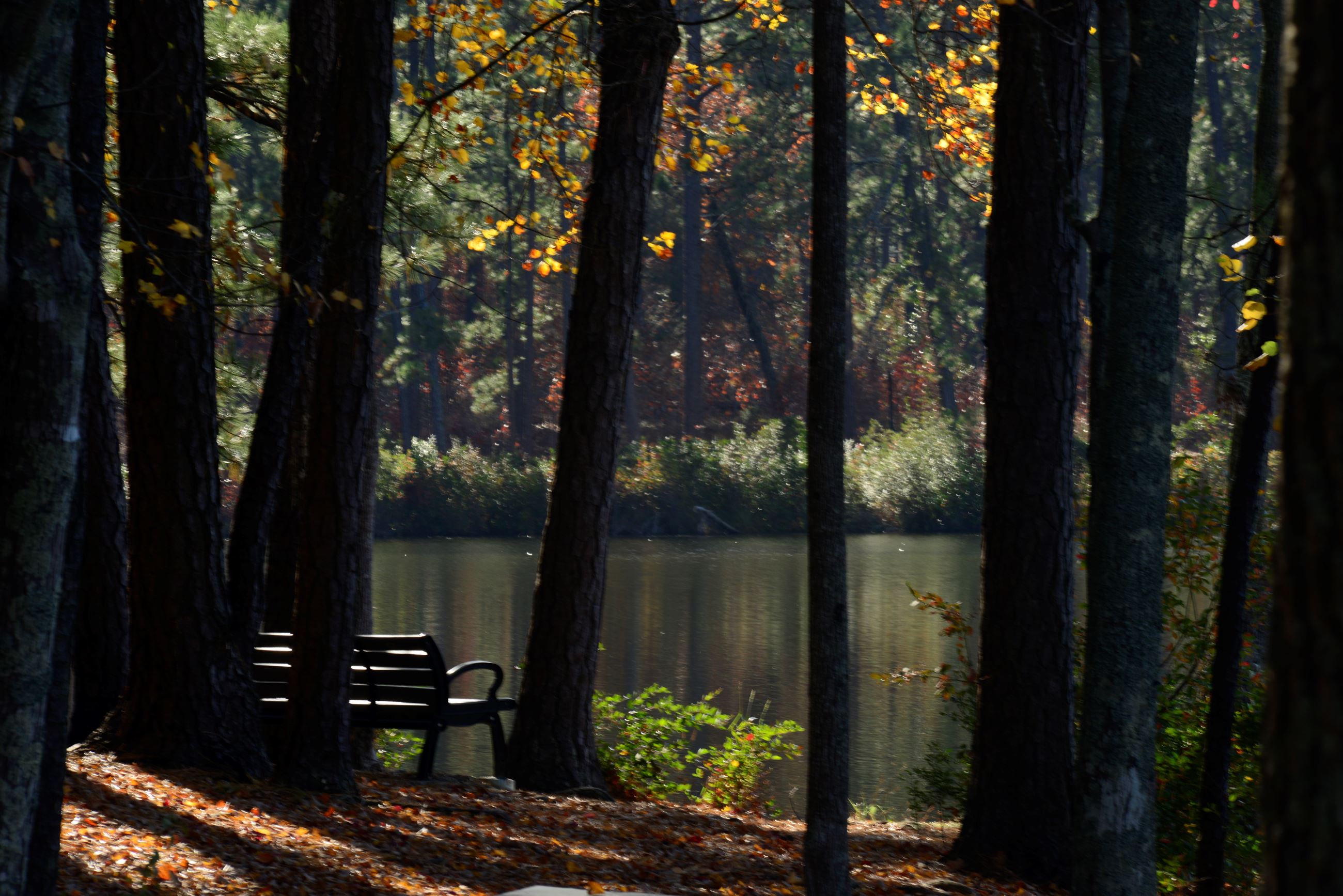 Park bench at Reservoir