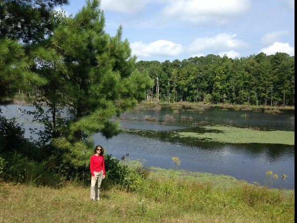 Image of Nick's Creek